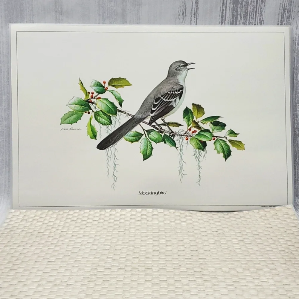Ned Smith 6Pc Placemats SongBird Series - Picture 5 of 14